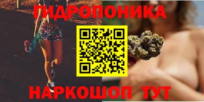 сатива Кинель