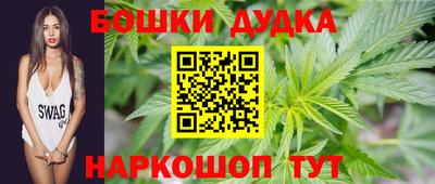 сатива Кинель