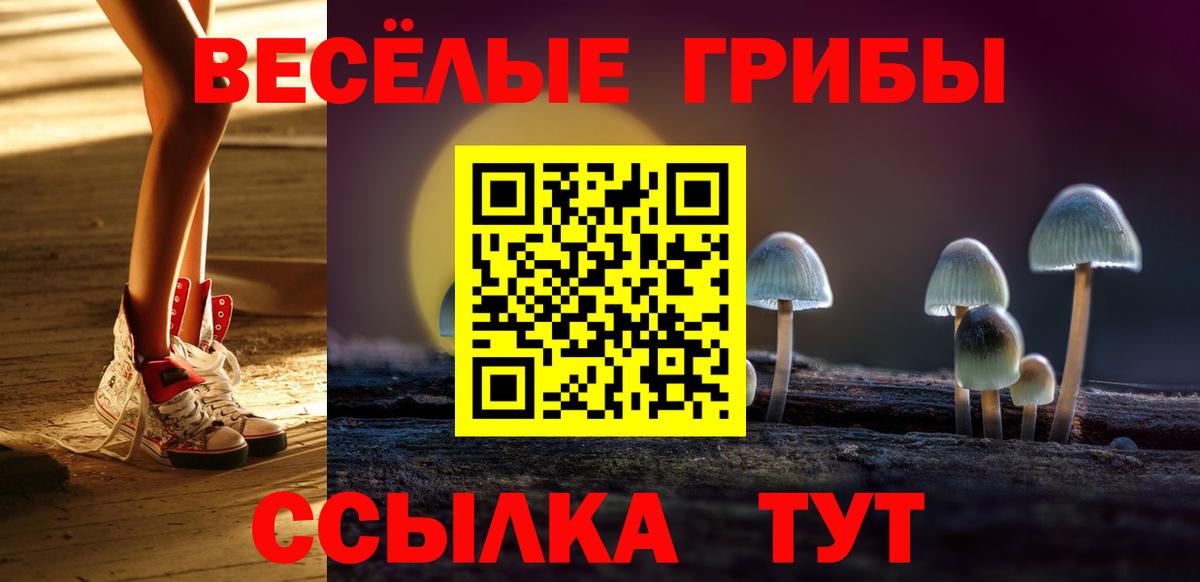 Псилоцибиновые грибы Psilocybine cubensis Курск