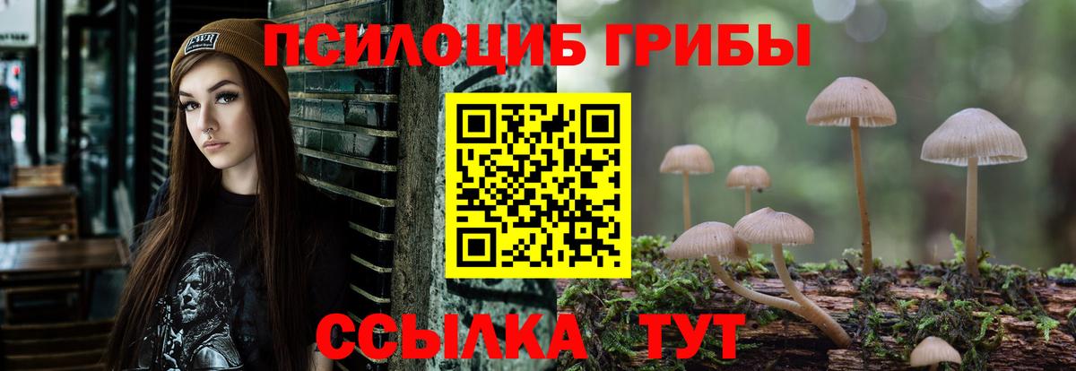 Псилоцибиновые грибы мицелий  Вход с VPN  Псилоцибиновые грибы Psilocybine cubensis  Курск 